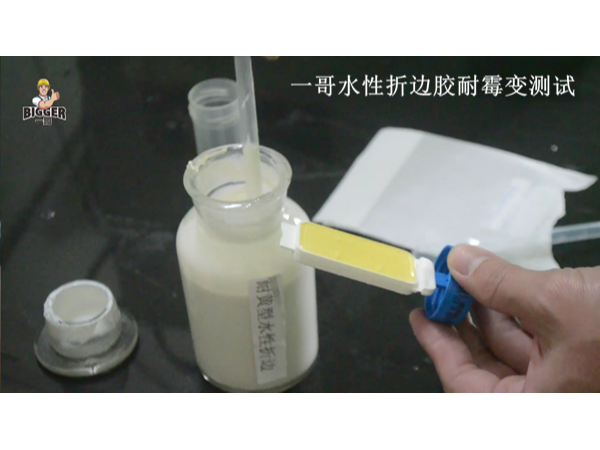 一哥噴膠廠家分享：水性折邊膠耐霉變測試